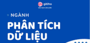 Combo Phân Tích Dữ Liệu Gitiho