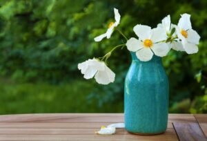 Chìa Khóa Để Sống Giản Dị